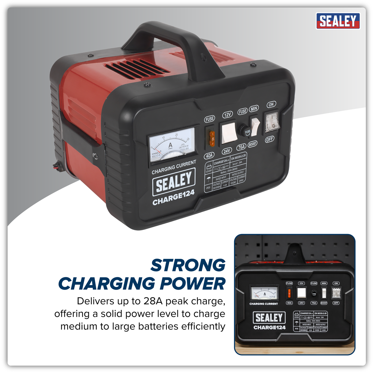 12/24V Battery Charger 28A 230V – additional product view 8