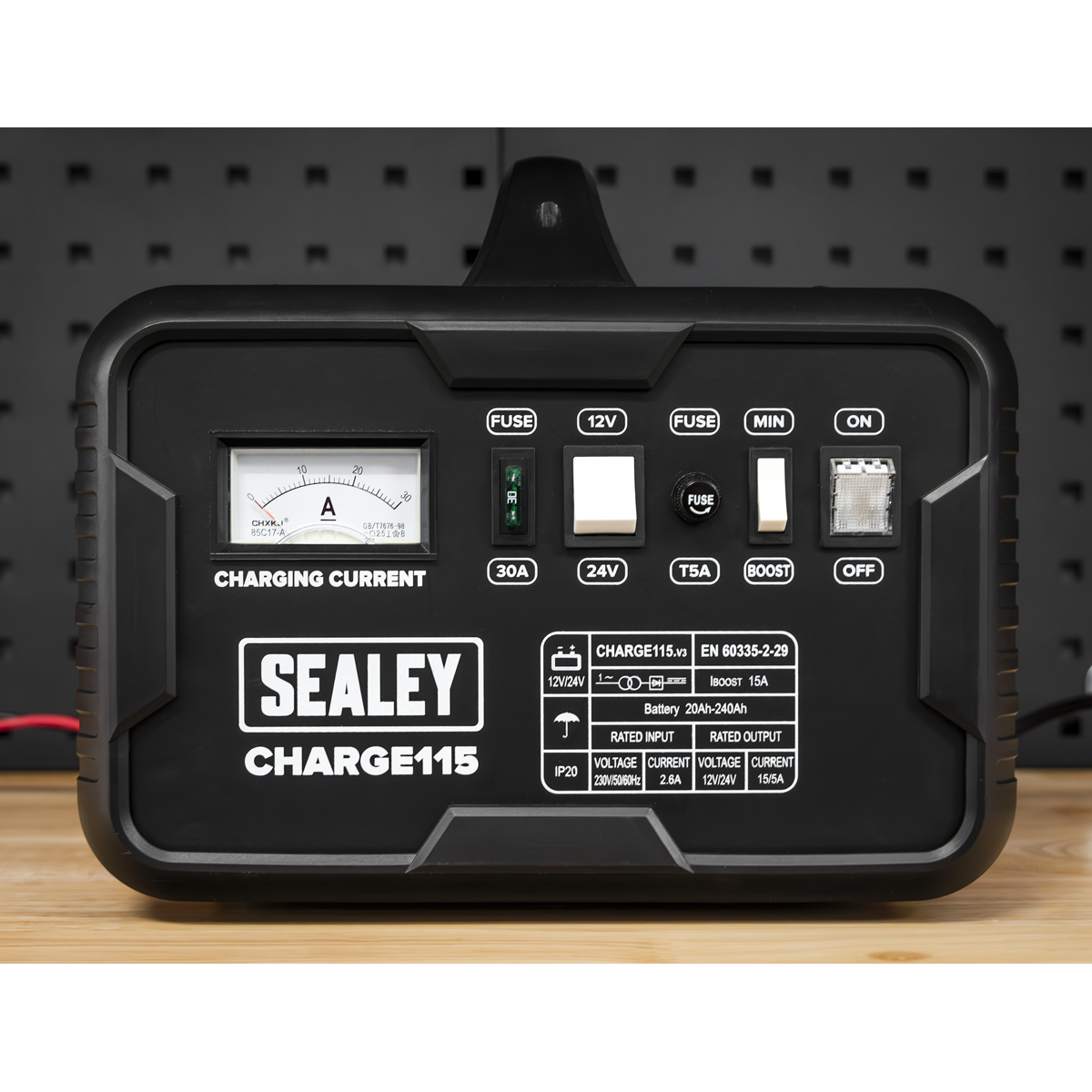 12/24V Battery Charger 19A 230V – additional product view 6