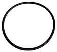 Slurry Fittings - O Ring for 19275