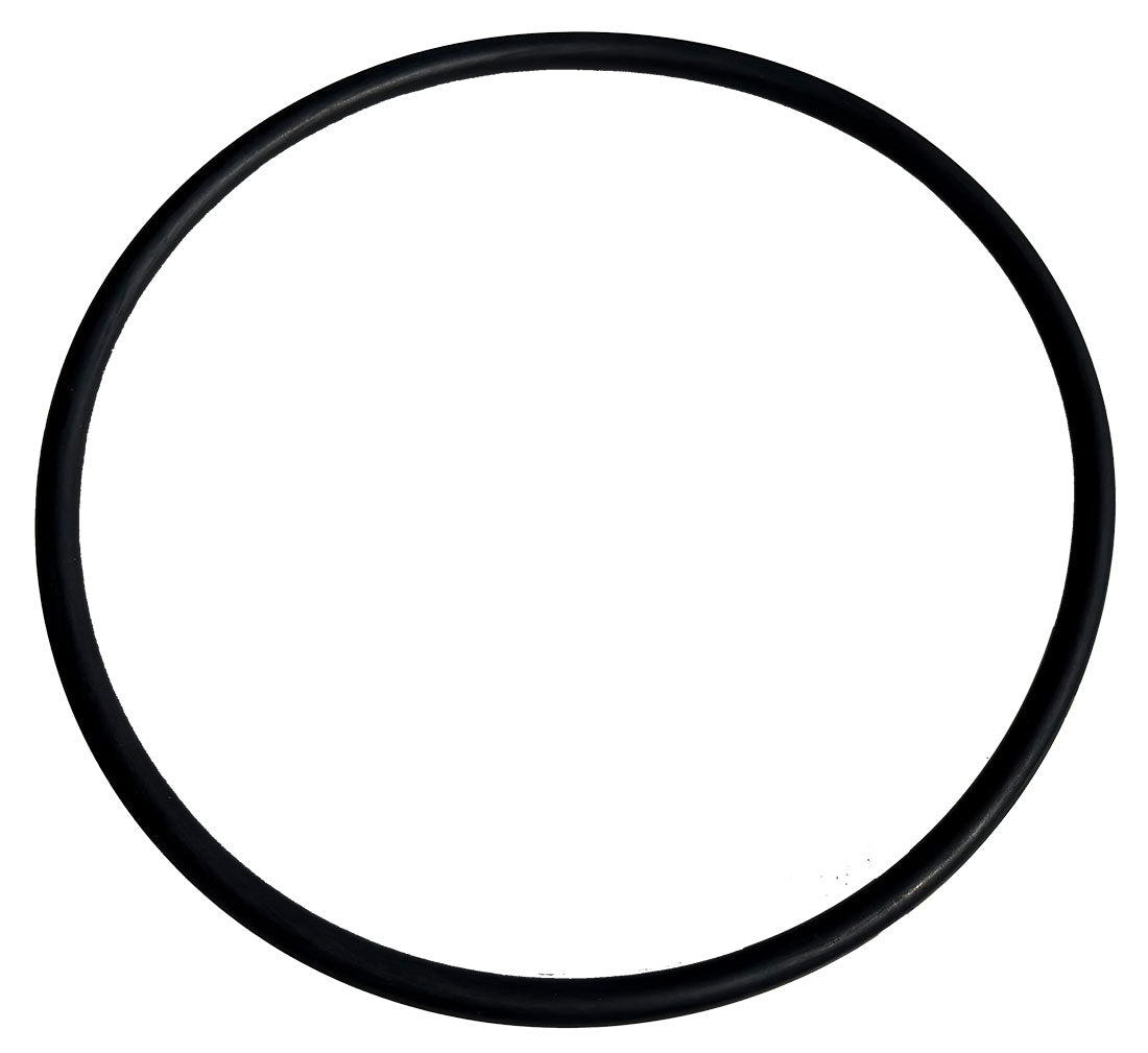 Slurry Fittings - O Ring for 19275