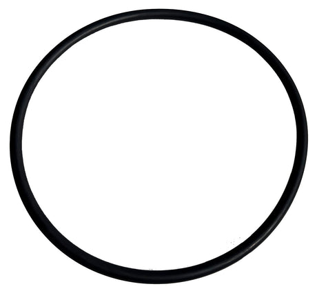 Slurry Fittings - O Ring for 19275