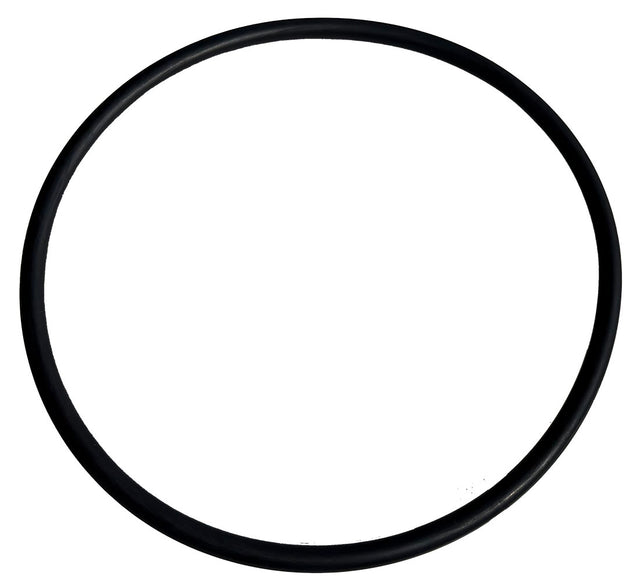 Slurry Fittings - O Ring for 19275