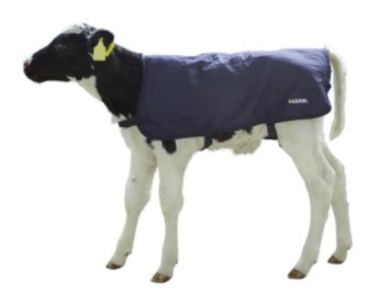 EasyWear Calf Blanket - 70cm, Wind and Water Resistant