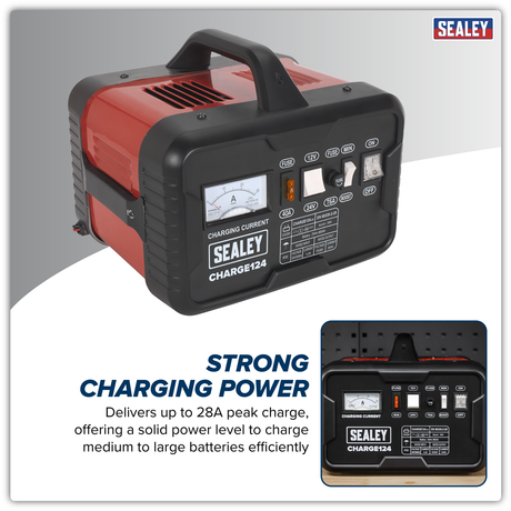 12/24V Battery Charger 28A 230V – additional product view 8
