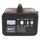 12/24V Battery Charger 28A 230V – additional product view 11