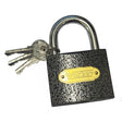Padlock Common Key Iron Dsics Ø8.8