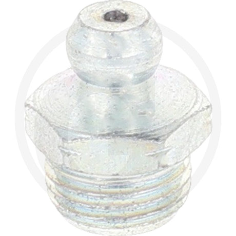 GRANIT 1/8” thread Straight Grease Nipples – Pack of 50