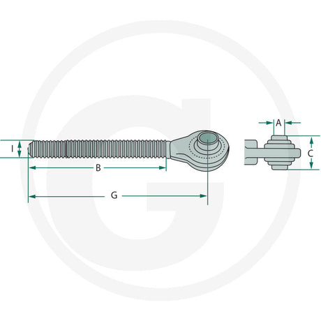 WALTERSCHEID Ball joint head – I M36 x 3 mm, A 25.4 mm – dimension diagram
