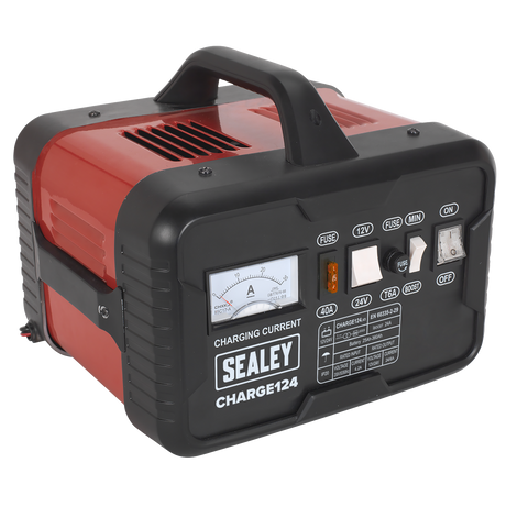 12/24V Battery Charger 28A 230V – additional product view 10