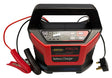 Battery Charger 25A 12/24V
