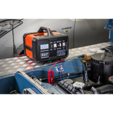 12/24V Battery Charger 14A 230V – additional product view 6