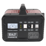 12/24V Battery Charger 14A 230V – additional product view 3