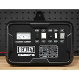 12/24V Battery Charger 19A 230V – additional product view 6