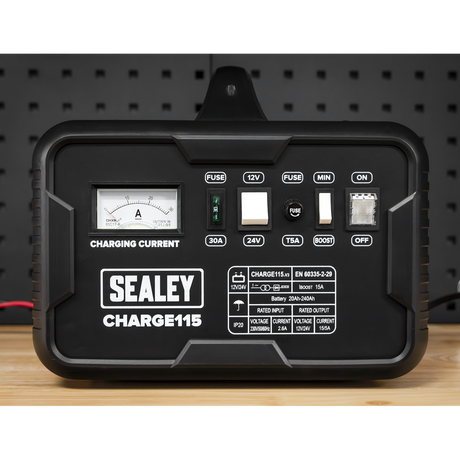 12/24V Battery Charger 19A 230V – additional product view 6