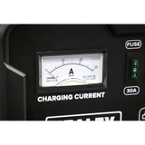 12/24V Battery Charger 19A 230V – additional product view 8