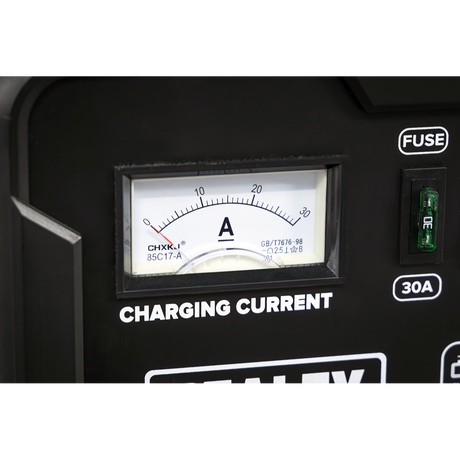 12/24V Battery Charger 19A 230V – additional product view 8