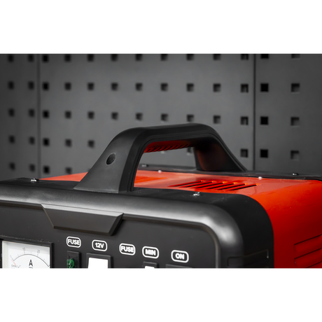 12/24V Battery Charger 19A 230V – additional product view 5