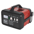 12/24V Battery Charger 19A 230V