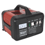 12/24V Battery Charger 19A 230V – additional product view 3