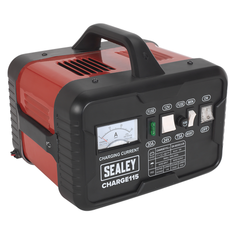12/24V Battery Charger 19A 230V – additional product view 3
