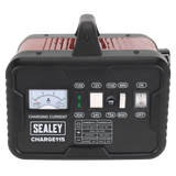 12/24V Battery Charger 19A 230V – additional product view 2