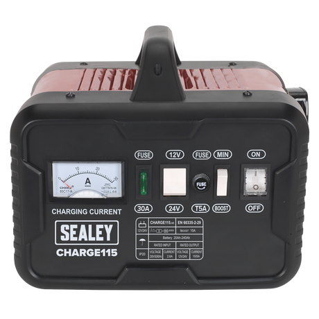 12/24V Battery Charger 19A 230V – additional product view 2