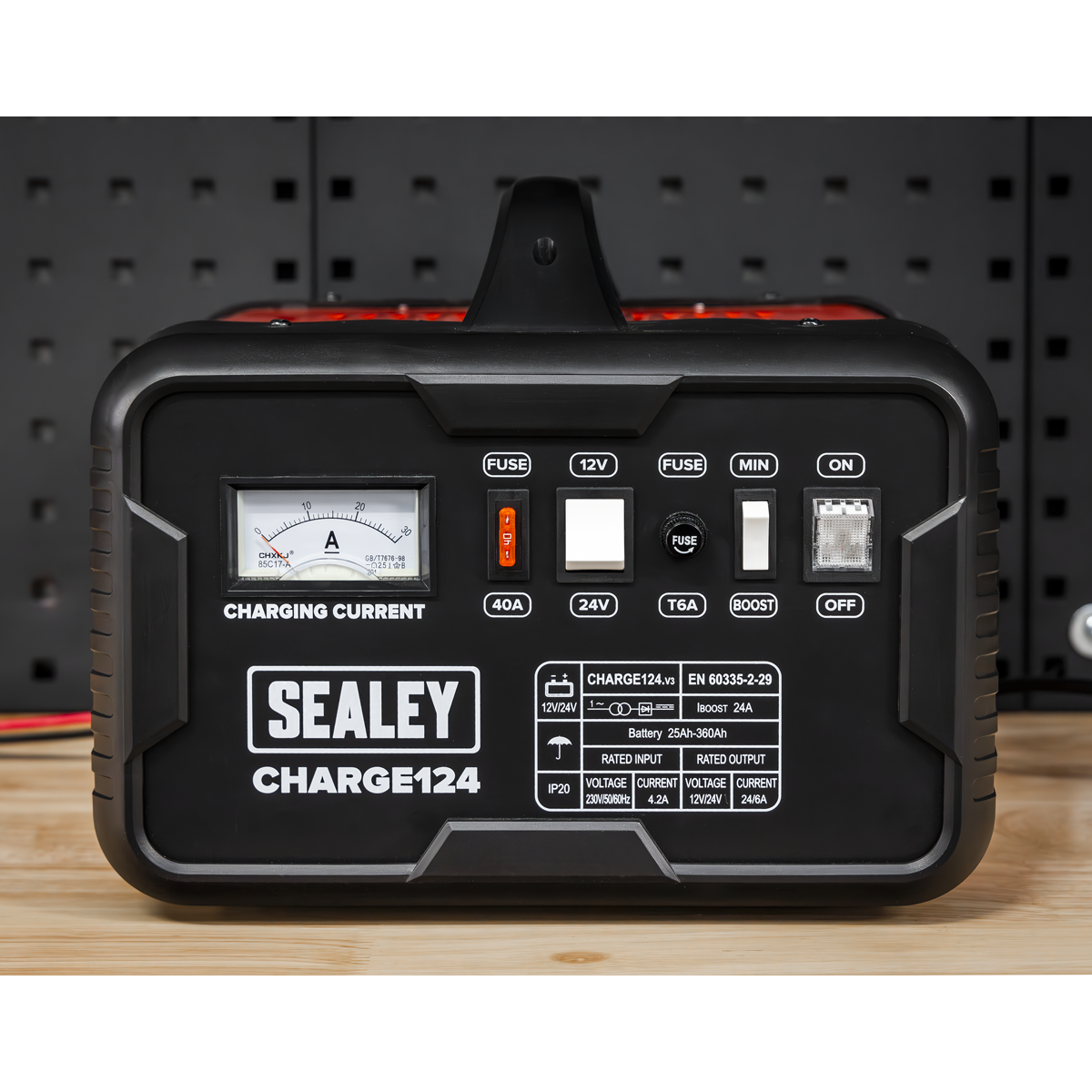 12/24V Battery Charger 28A 230V – additional product view 4