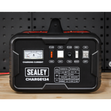 12/24V Battery Charger 28A 230V – additional product view 4
