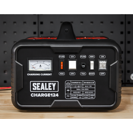 12/24V Battery Charger 28A 230V – additional product view 4