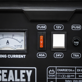 12/24V Battery Charger 28A 230V – additional product view 7