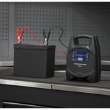 8A 6/12V Battery Charger 230V – additional product view 6