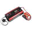12/24V Compact Smart Battery Charger & Maintainer 15A