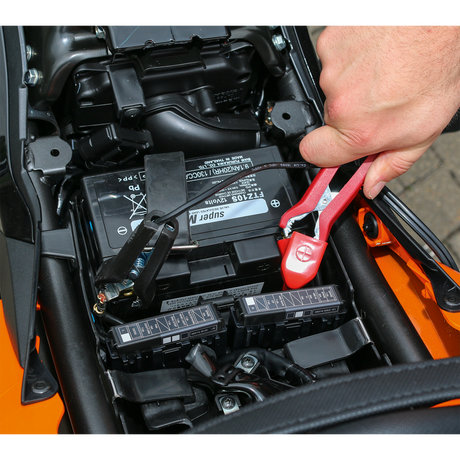 12V Intelligent Speed Charge Battery Charger/Maintainer 10A – additional product view 6
