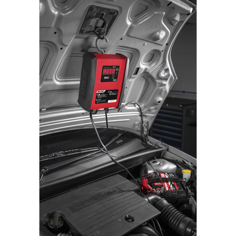 12V/15A 24V/10A Intelligent Speed Charge Battery Charger/Maintainer – additional product view 3