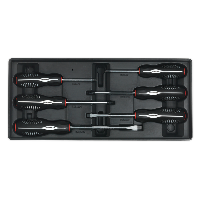 Premier Screwdriver Set with Tool Tray 6pc