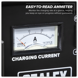 12/24V Battery Charger 28A 230V – additional product view 12
