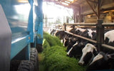 Rolland Rollfeed Livestock Feeding Trailers – manufacturer range photograph; options shown may vary